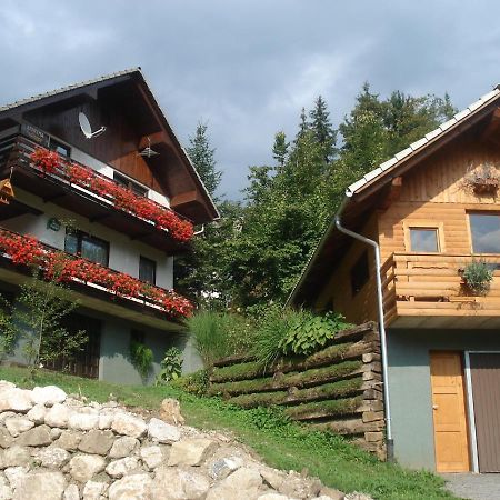 Apartmán Apartma Podlogar Golica Triglav Jesenice Exteriér fotografie
