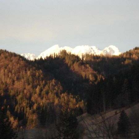 Apartmán Apartma Podlogar Golica Triglav Jesenice Exteriér fotografie