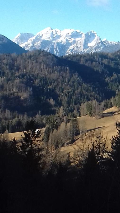 Apartmán Apartma Podlogar Golica Triglav Jesenice Exteriér fotografie