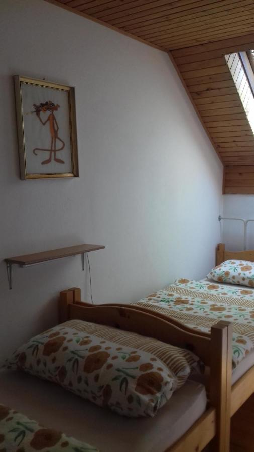 Apartmán Apartma Podlogar Golica Triglav Jesenice Exteriér fotografie