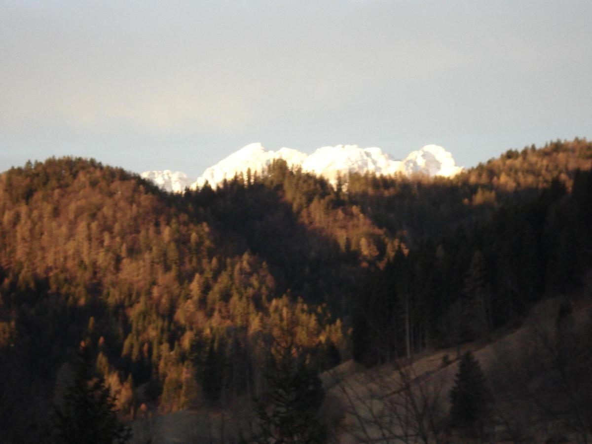 Apartmán Apartma Podlogar Golica Triglav Jesenice Exteriér fotografie