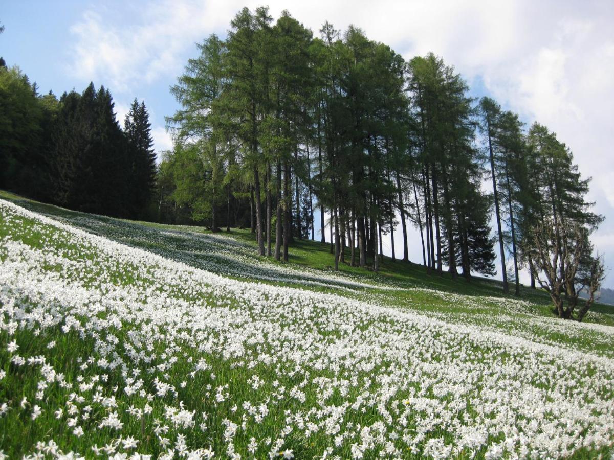 Apartmán Apartma Podlogar Golica Triglav Jesenice Exteriér fotografie